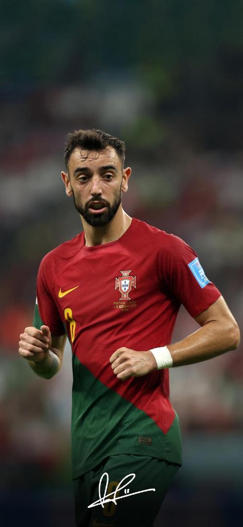 切费林：葡萄牙足球极具竞争力，一些人口更多的国家远做不到这样