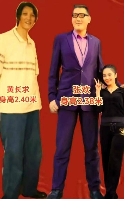 历史哪位2米26巨人最强？文班有望冲第一 除他外仅姚明场均超10分