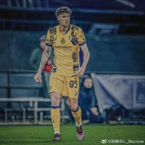 马洛塔谈点球:主裁要么自己决定要么求助VAR,不该受边裁的影响