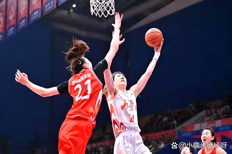 合肥女篮双外援已来华与球队会合 助力球队冲击季后赛席位