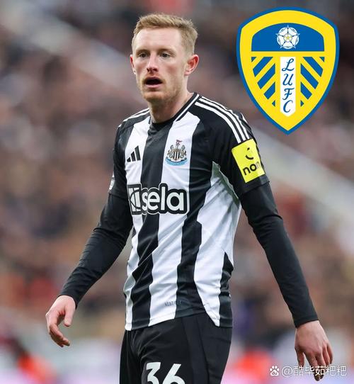 都体：斯帕莱蒂上任后弗拉霍维奇可能与尤文续约，戴维或冬窗离队